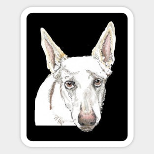 White shepherd SAFFY Sticker